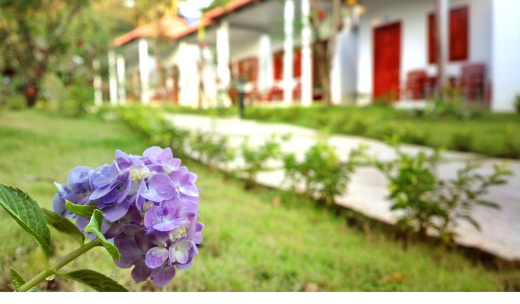 Highland Bungalow Дуонг-Донг Экстерьер фото